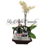 Champagne Moet, orquídeas y chocolates